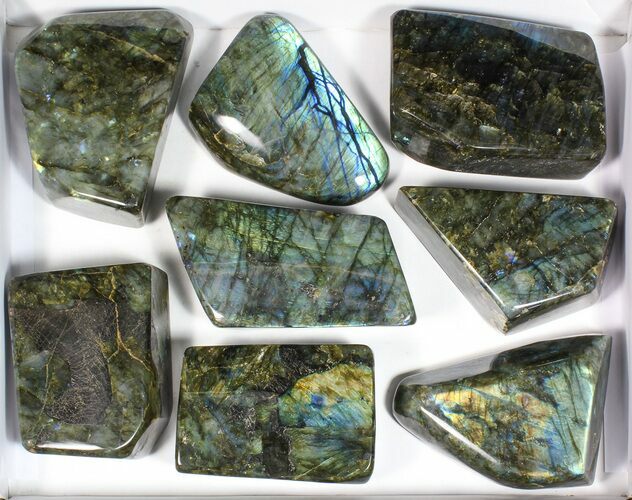 Lot: Lbs Free-Standing Polished Labradorite - Pieces #77657